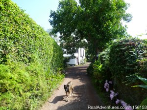 Unforgettable riding weeks at Quinta da Terca | Ponta Delgada, Azores, Portugal | Horseback Riding & Dude Ranches