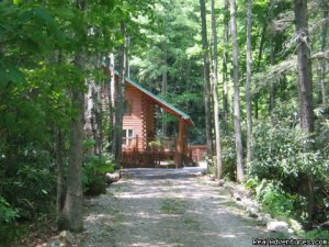 Romantic Getaway in TN Mountain Log Cabin | Butler, Tennessee Vacation Rentals | Cedar Bluff, Virginia