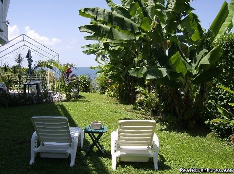 Our Rincon House Backyard | Largest Affordable Rentals Rincon Puerto Rico | Image #7/14 | 
