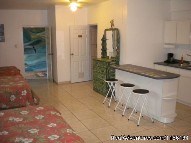 Largest Affordable Rentals Rincon Puerto Rico | Image #5/14 | 