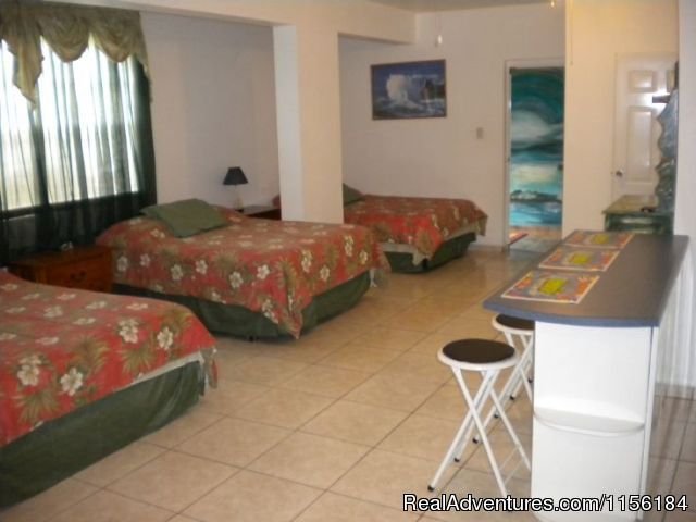 Largest Affordable Rentals Rincon Puerto Rico | Image #4/14 | 