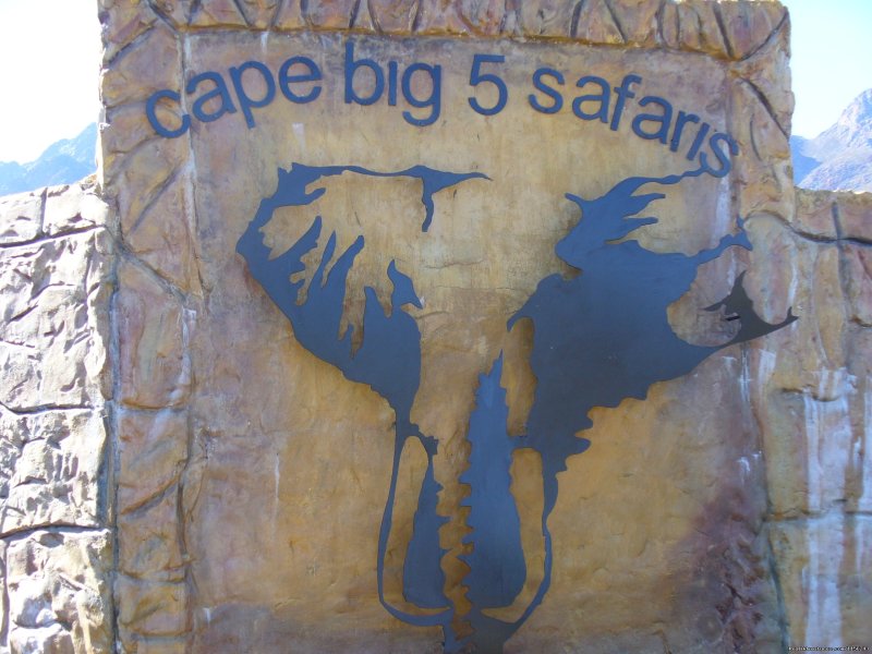 Big 5 Safari | Specialized Wine and Day Tours | Image #20/22 | 