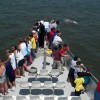 Cape May Whale Watcher Photo #5