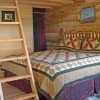 Bison Quest bison and wildlife adventure vacations Live in an authentic log cabin