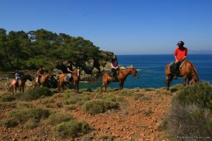 Isa.M Horseridingstable | Fethiye, Turkey Bed & Breakfasts | Turkey