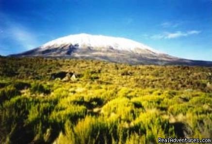 Ultimate Kilimanjaro | Climb Mount Kilimanjaro with Ultimate Kilimanjaro( | Image #3/6 | 