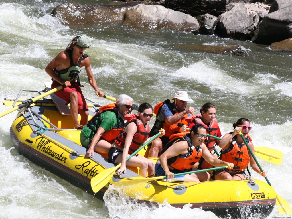 Rafting the Colorado River | Whitewater Rafting, LLC | Image #6/25 | 