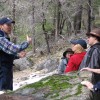 Yosemite Outdoor Adventures Learning about Yosemite 