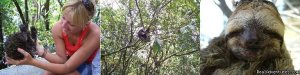 Brazil  Travel Jungle Trek Expedition JaÃš Park | Manaus, Brazil Eco Tours | South America Nature & Wildlife
