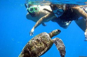 Maui's Best Kayak & Snorkel Tours | Makena, Hawaii Kayaking & Canoeing | Hawaii
