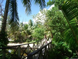 Micronesia Grand Tour, Ecoadventures and Lodging | Lelu-Kosrae, Micronesia Eco Tours | Micronesia Nature & Wildlife