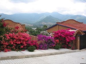 The best kept secret in Oaxaca:  grana cochinilla  | Oaxaca, Mexico | Articles