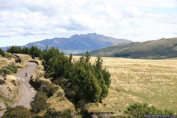 Riding the paramo: Cotopaxi National Park | The Andean Bicycle Travel Company | Image #3/5 | 