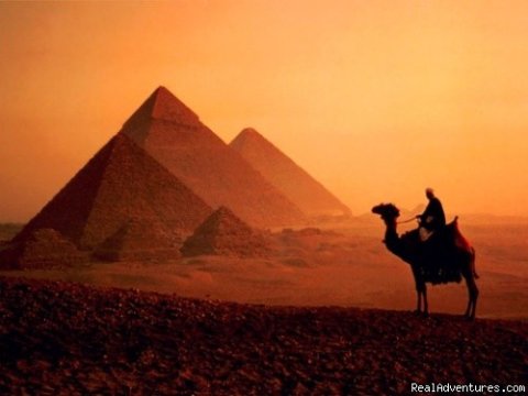 Camel beside Pyramids