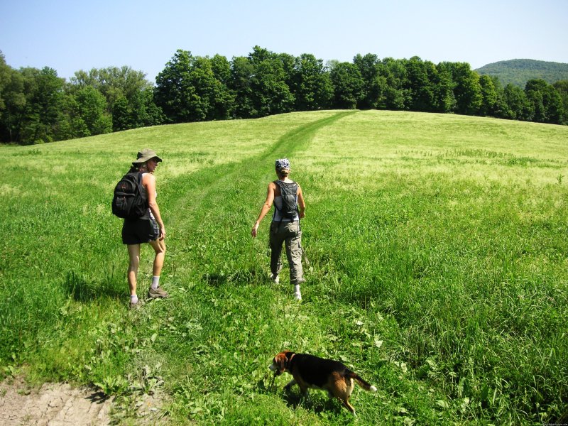 Hikers along meadow trail | Hiking Adventures in Vermont | Image #9/11 | 
