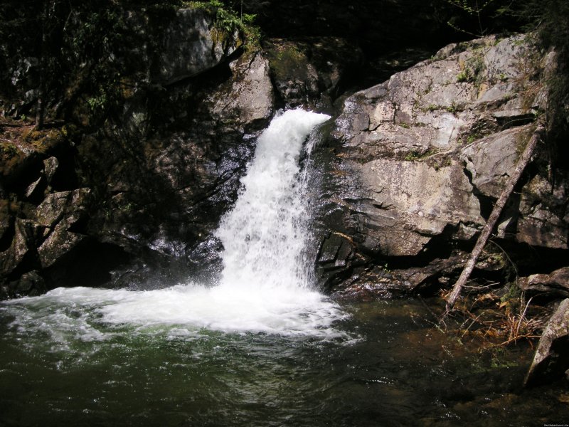 warterfall along beginer hike | Hiking Adventures in Vermont | Image #11/11 | 