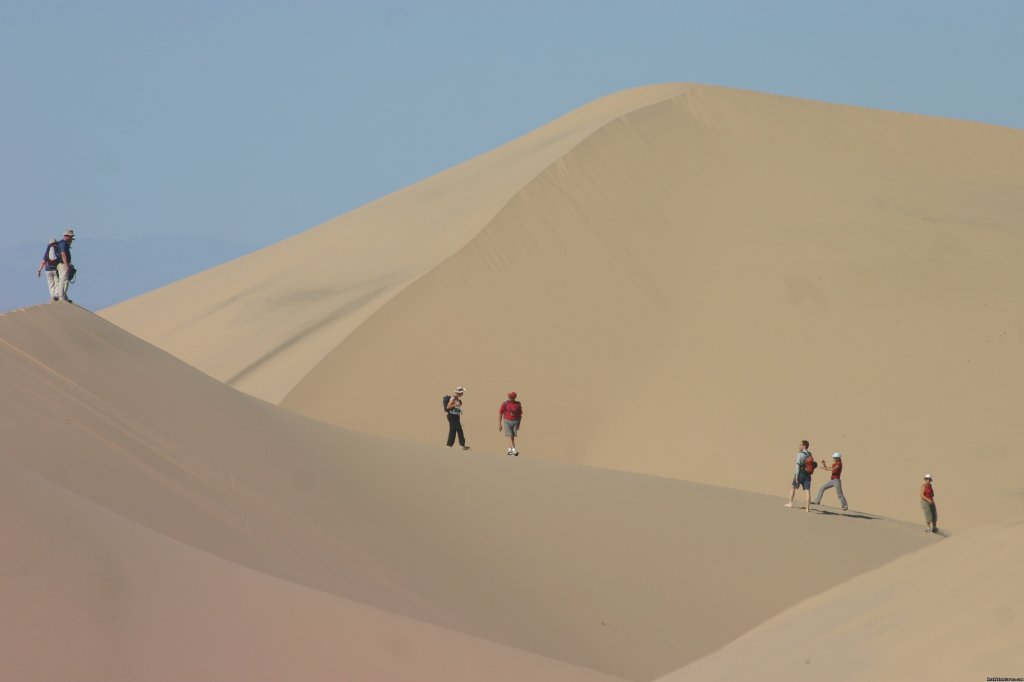 Khongor sand dune | Adventures and treks in Mongolia  | Image #3/3 | 