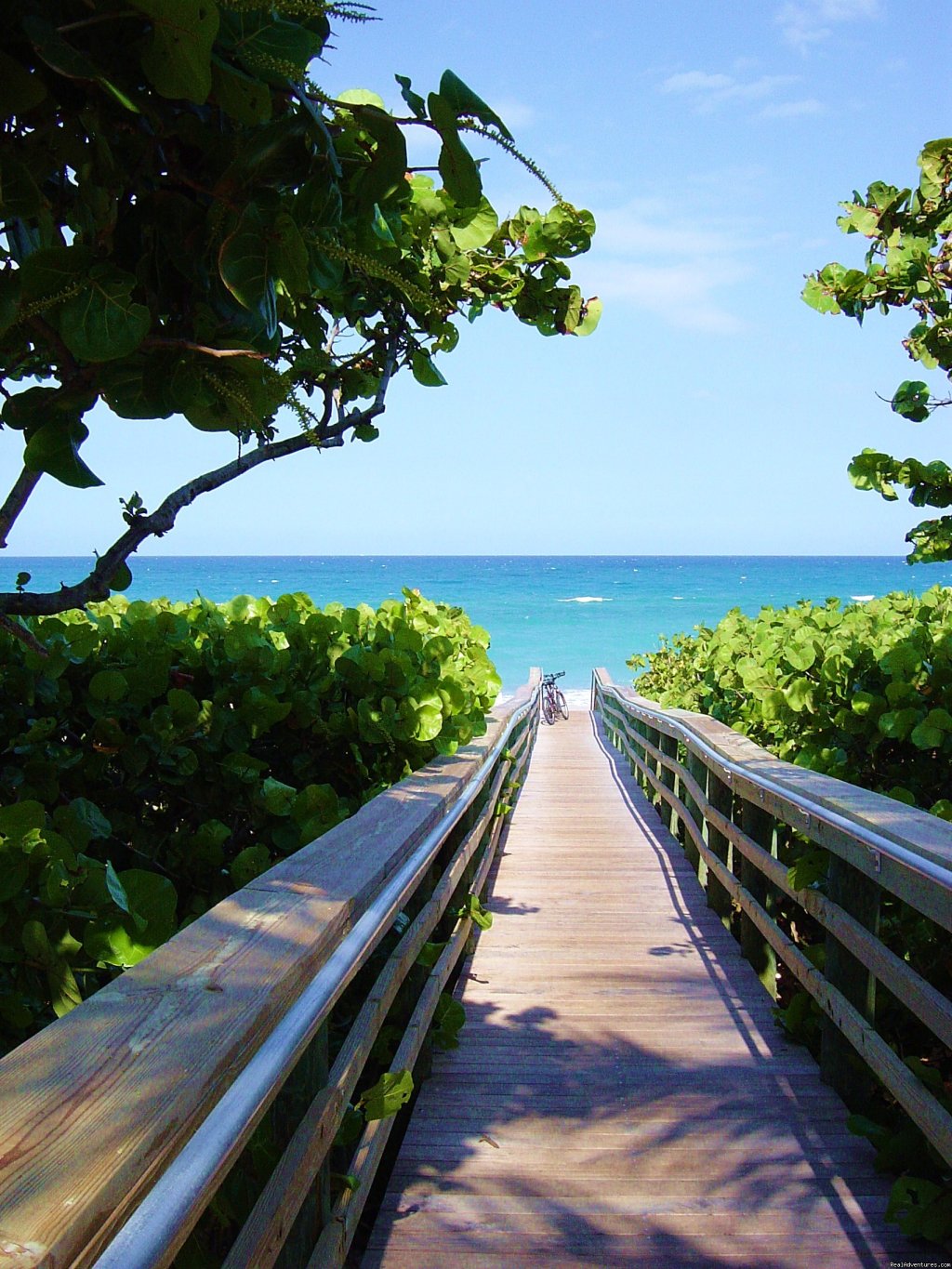 Pathway to Our Local Beach | POSHPADZ is 5 Star Luxury For Less! | Image #2/13 | 