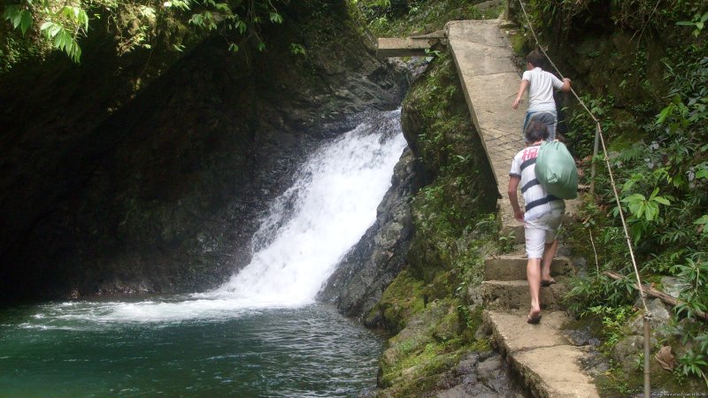Jewel Of Fiji -2 Minute Waterfalls Trek | Adventure Tours | Image #17/22 | 