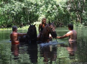 Horseback Riding Near Ocala Florida | Ocala, Florida Horseback Riding & Dude Ranches | Starke, Florida