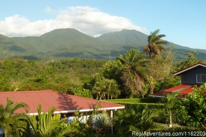 Hotel Sueno Celeste, your B&B close to Rio Celeste | Bijagua de Upala, Costa Rica Bed & Breakfasts | Nicaragua Bed & Breakfasts
