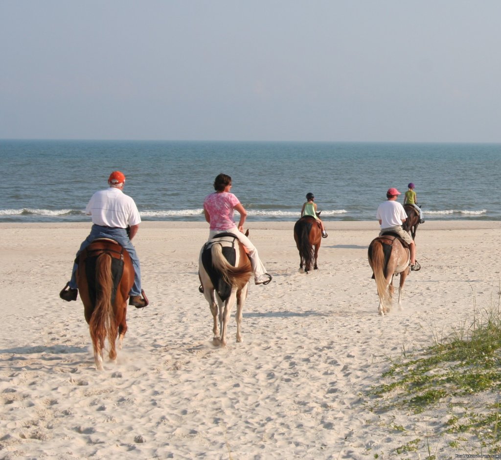 Two-bit Stable Horseback Riding on the Beach | Image #5/5 | 