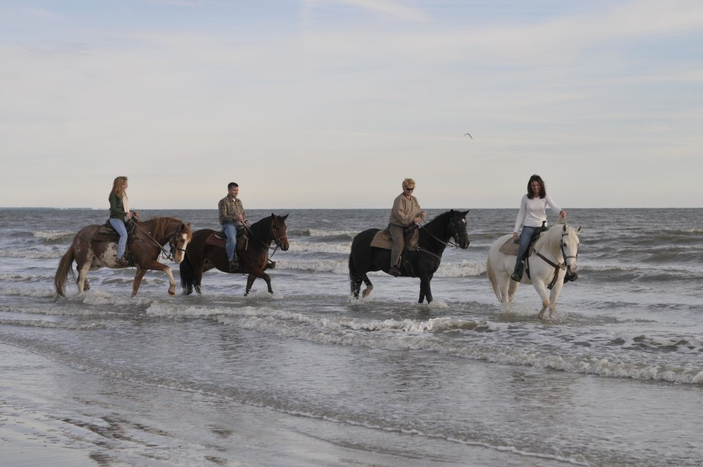 Two-bit Stable Horseback Riding on the Beach | Image #3/5 | 