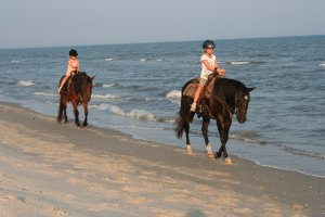 Two-bit Stable Horseback Riding on the Beach