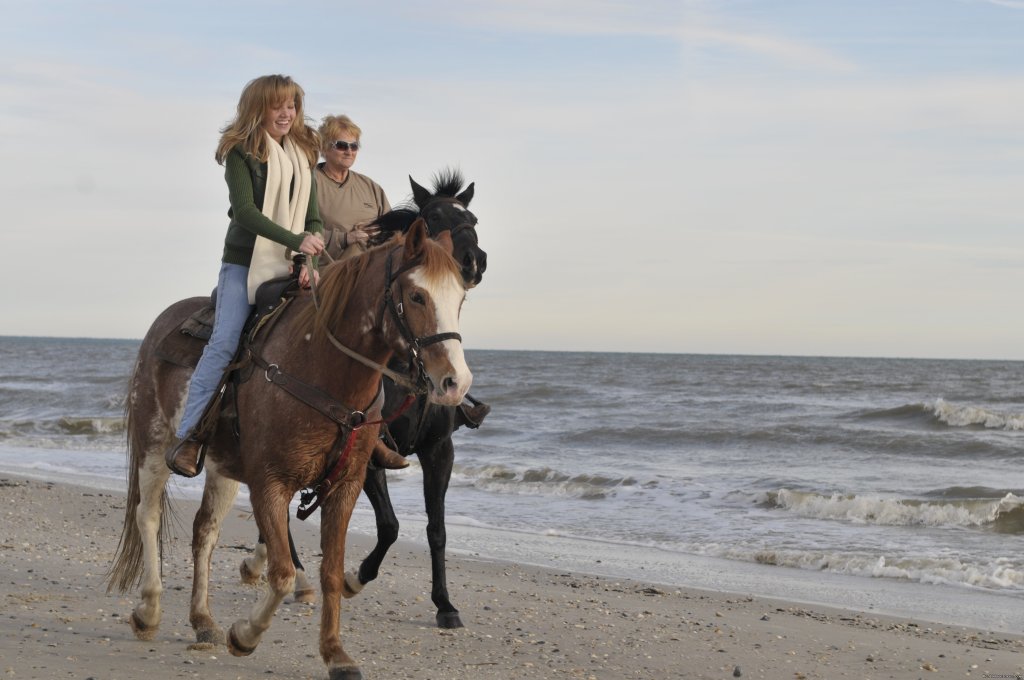 Two-bit Stable Horseback Riding on the Beach | Image #4/5 | 