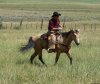 Colorado Cowboy Vacation at Fish and Cross Ranch | Yampa, Colorado