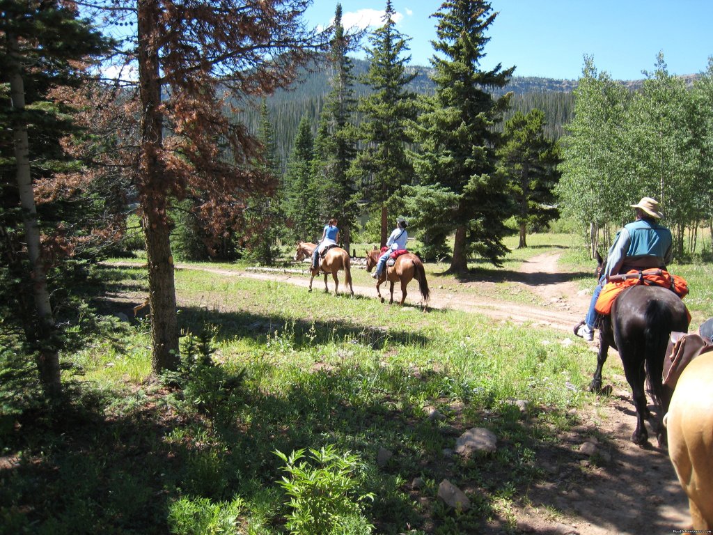 Colorado Cowboy Vacation at Fish and Cross Ranch | Image #6/11 | 