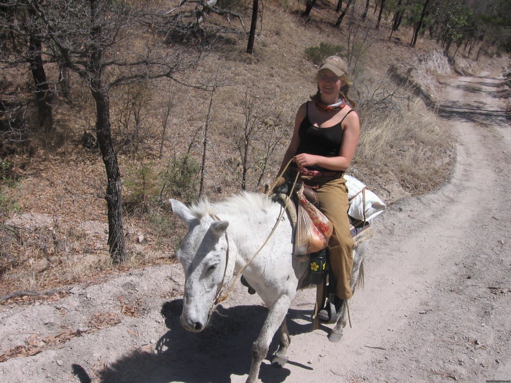 You can also go horseback/muleback | Remote Conservation Ranch By Copper Canyon Region  | Image #11/16 | 