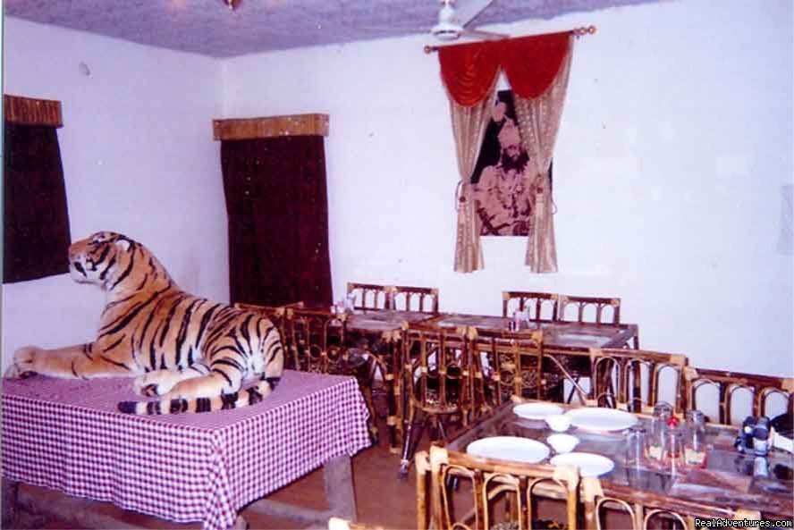 Lodge Bandhavgarh | Image #8/9 | 