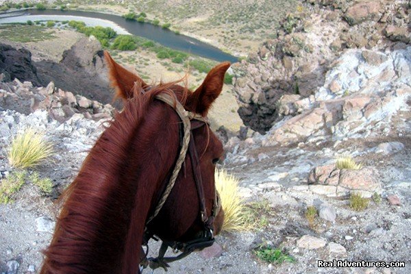 The View | Horse trekking into the Andes | Image #2/20 | 
