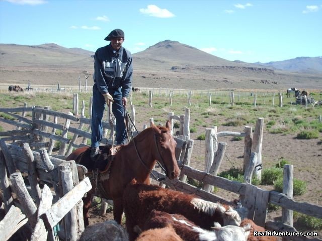 Do not try this at home | Horse trekking into the Andes | Image #6/20 | 