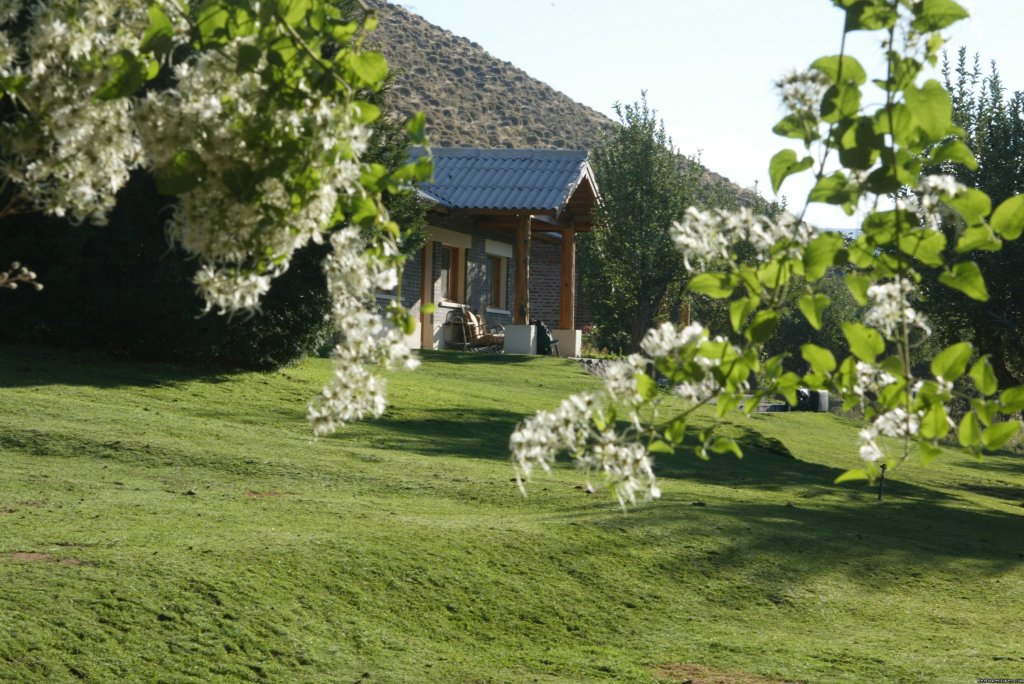 Our cabins | Horseback riding | Image #3/9 | 