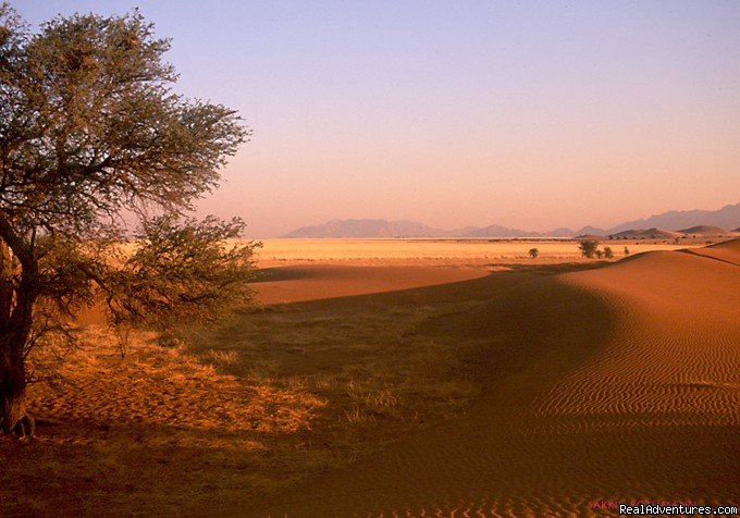Budget and Authentic trips with Unique Travel | Windhoek, Namibia | Sight-Seeing Tours | Image #1/4 | 