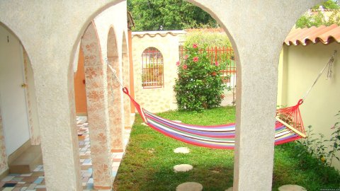 Garden with hammock