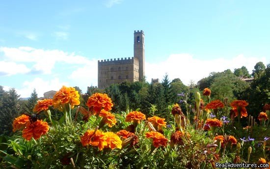 Tuscan Landscape and Colors up close | Visit the 7 Chakras in Beautiful Tuscany | Florence, Italy | Yoga | Image #1/4 | 