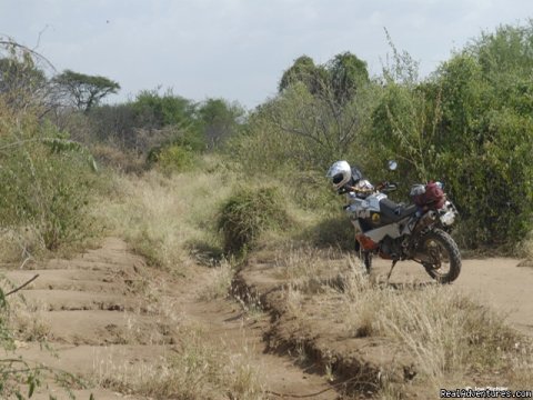 Mago National Park, South Ethiopia