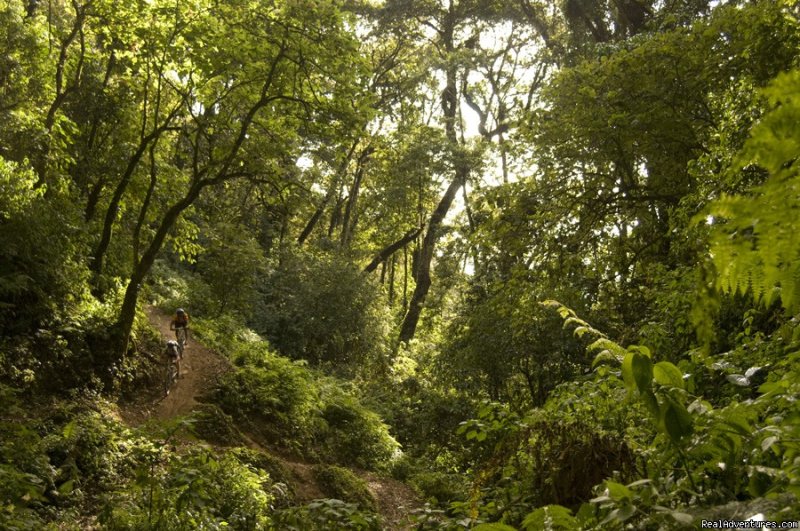 Cielo Grande jungle ride | La Ruta de Maya | Image #14/17 | 