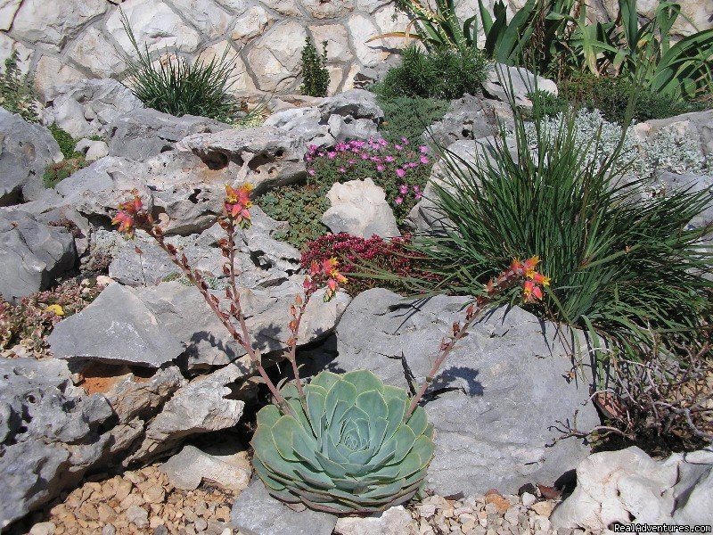 The garden detail | Villa Perka | Image #3/3 | 