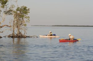 National Wildlife Refuge Kayak & Boat Tours