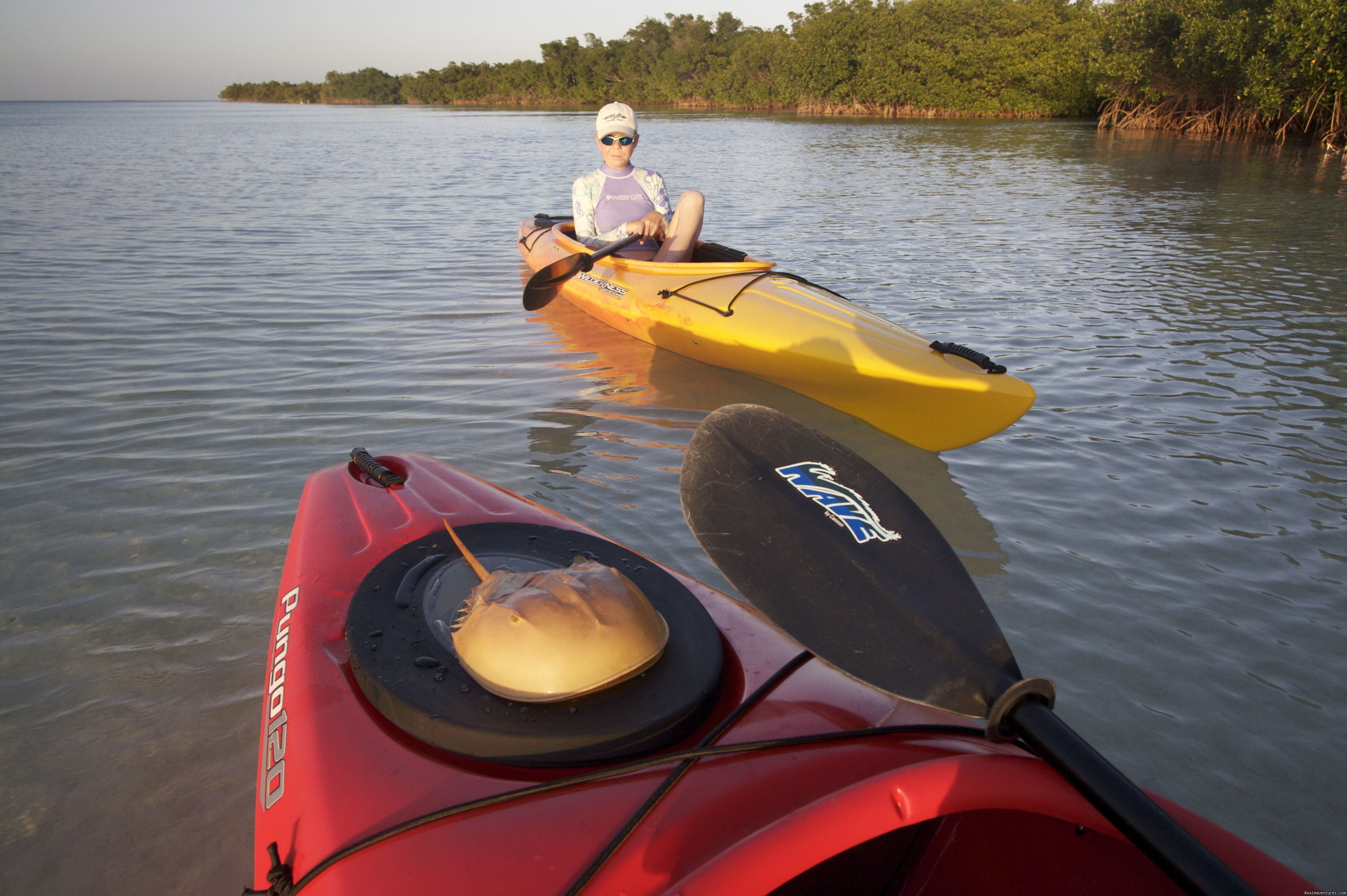 National Wildlife Refuge Kayak &amp; Boat Tours, Florida Keys 