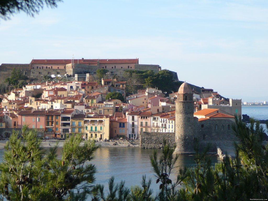 collioure | French Language Immersion | Image #2/9 | 