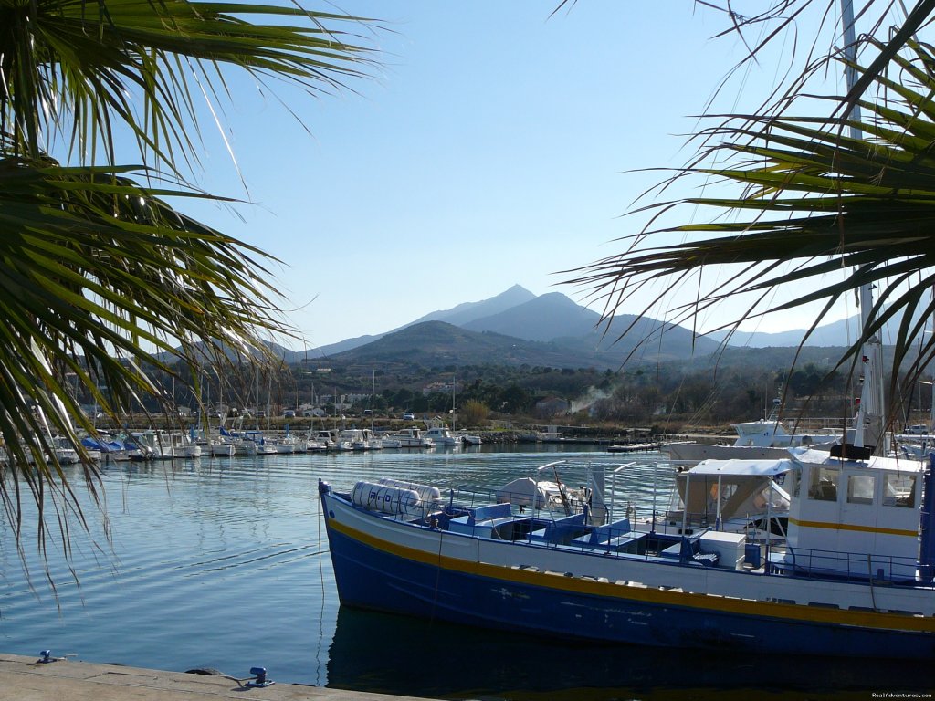 Port Argelès | French Language Immersion | Image #6/9 | 