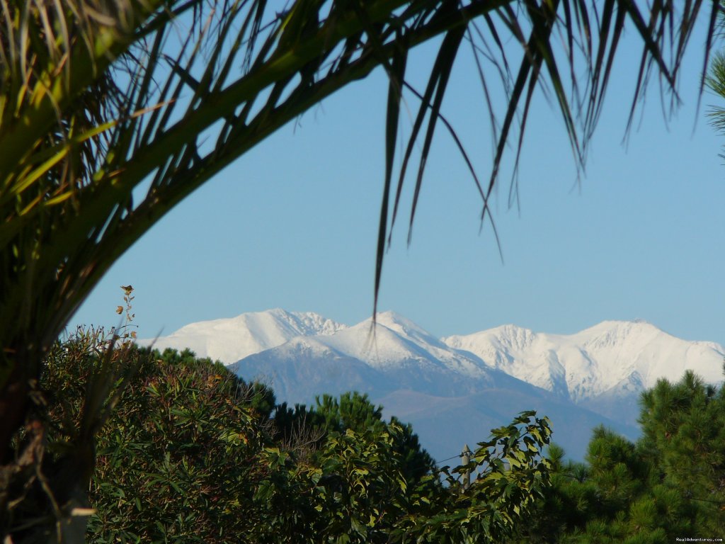 The Canigou | French Language Immersion | Image #8/9 | 