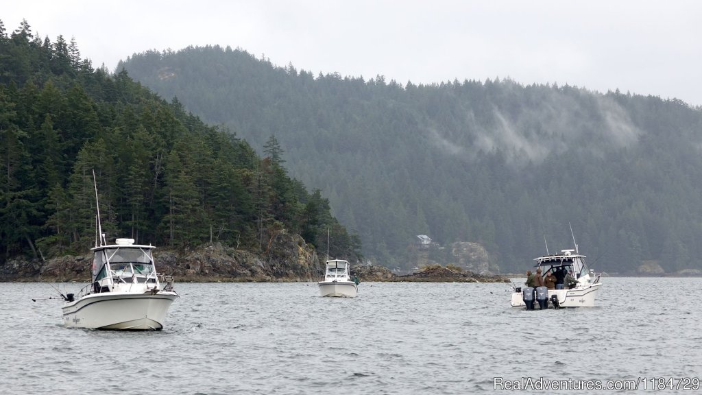 Vancouver Salmon Charters | Image #5/5 | 