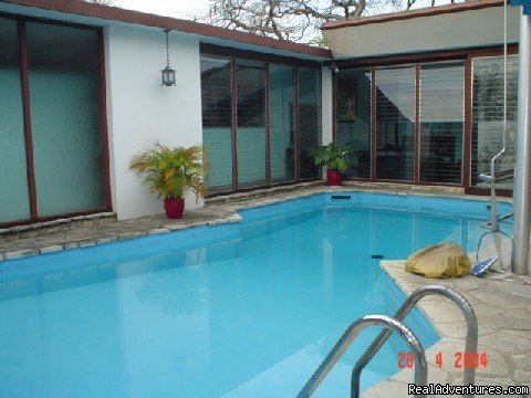 Swimming Pool  | Gisela´s: Comfort and privacy in Nuevo Vedado | Havana, Cuba | Bed & Breakfasts | Image #1/4 | 