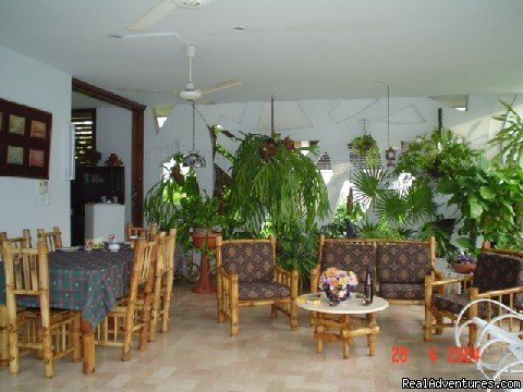 Living Room | Gisela´s: Comfort and privacy in Nuevo Vedado | Image #4/4 | 